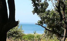 Petite Maison Agreable A 300 M De La Plage